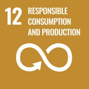 ODS - Responsible consumption and production