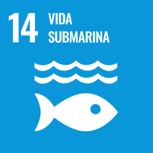 ODS - Vida submarina