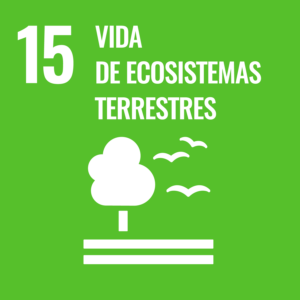 ODS - Vida de ecosistemas terrestres